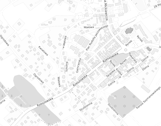 Mapa z adresem organizacji