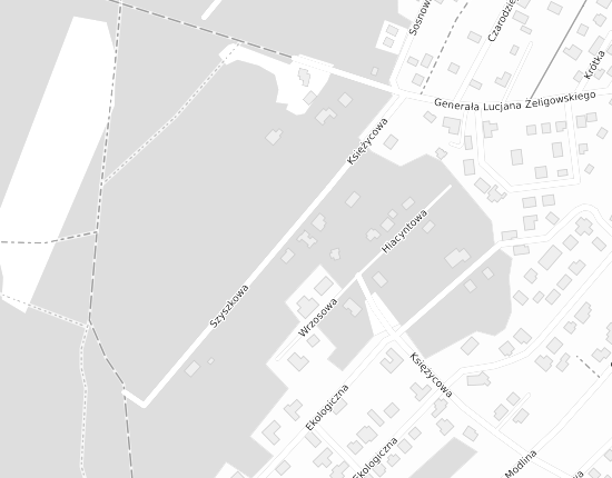 Mapa z adresem organizacji