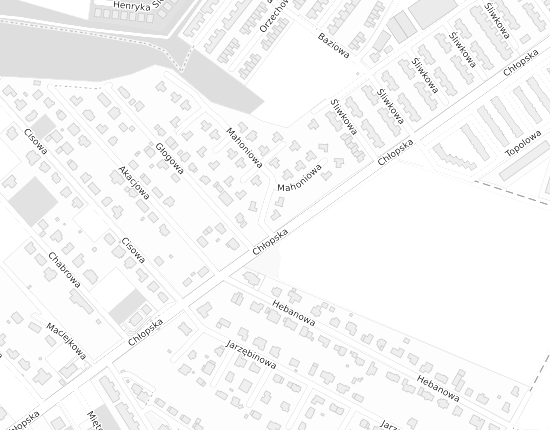 Mapa z adresem organizacji