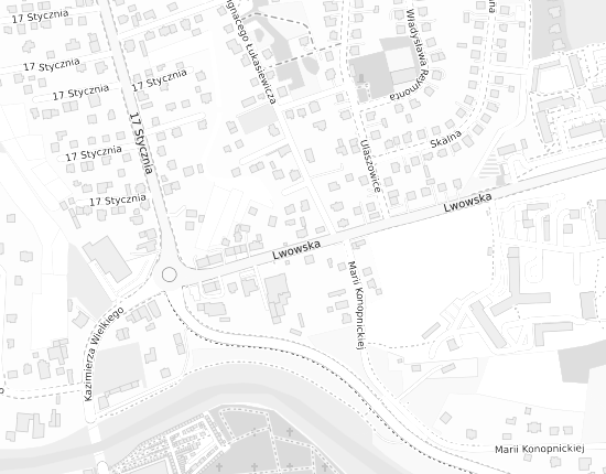 Mapa z adresem organizacji