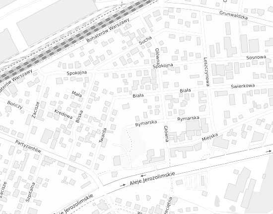 Mapa z adresem organizacji