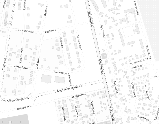 Mapa z adresem organizacji
