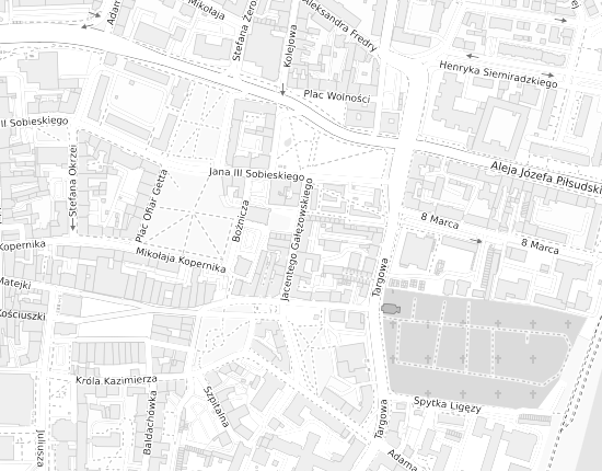 Mapa z adresem organizacji