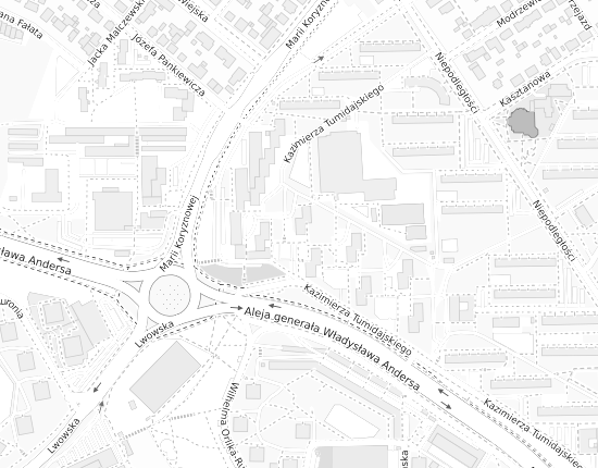 Mapa z adresem organizacji