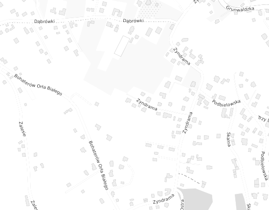 Mapa z adresem organizacji