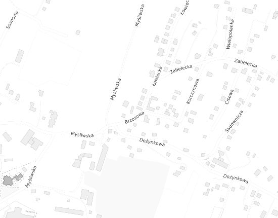 Mapa z adresem organizacji