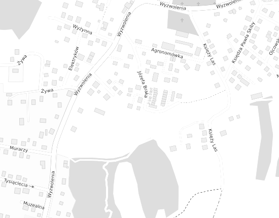 Mapa z adresem organizacji