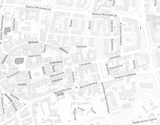 Mapa z adresem organizacji