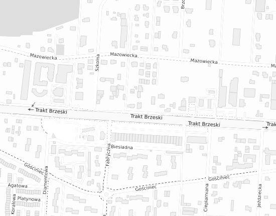 Mapa z adresem organizacji