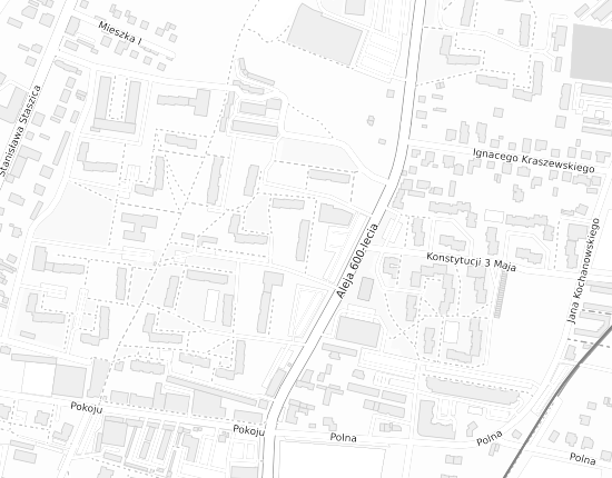 Mapa z adresem organizacji