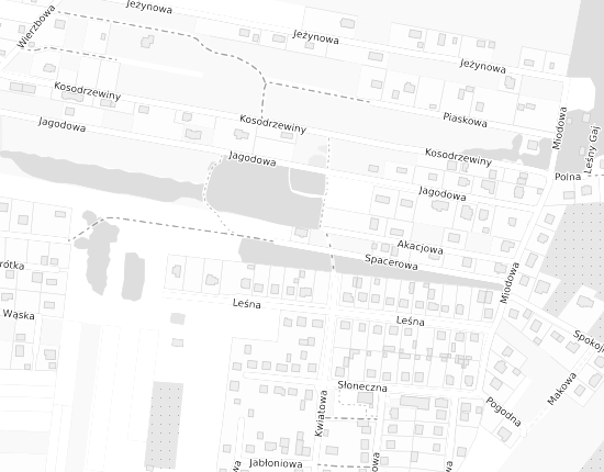Mapa z adresem organizacji