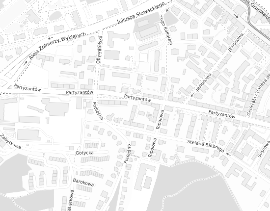 Mapa z adresem organizacji
