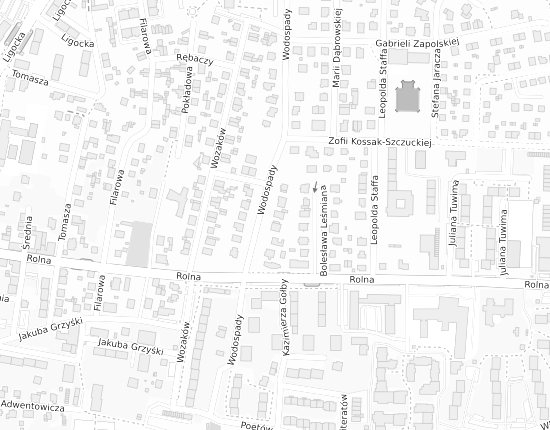 Mapa z adresem organizacji