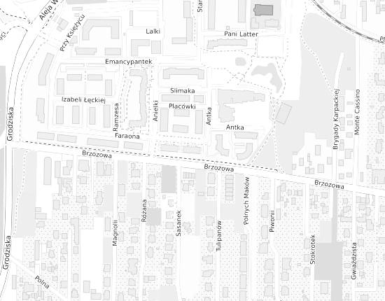 Mapa z adresem organizacji