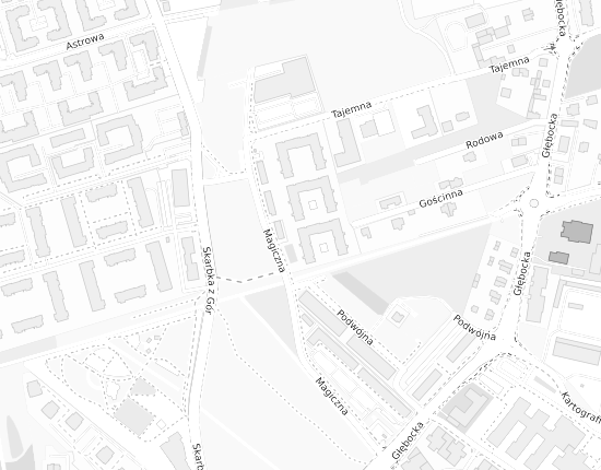 Mapa z adresem organizacji