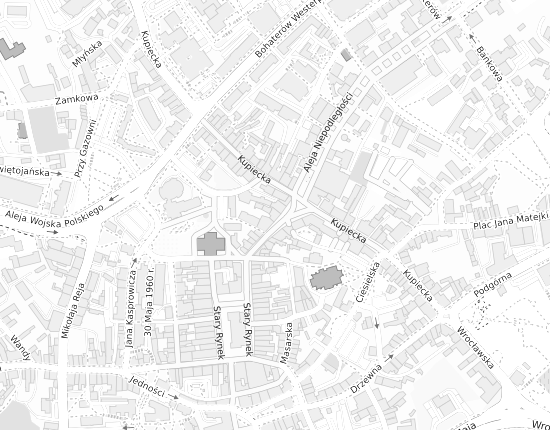 Mapa z adresem organizacji