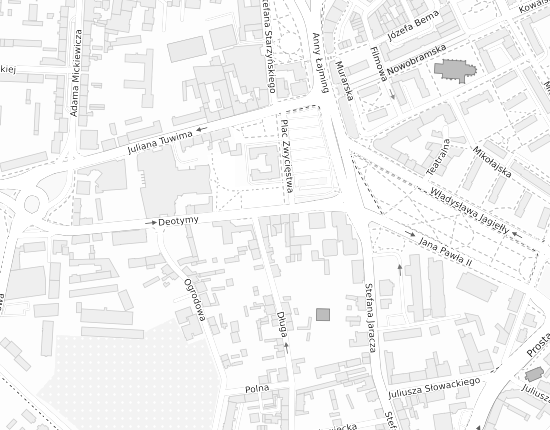 Mapa z adresem organizacji
