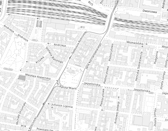 Mapa z adresem organizacji