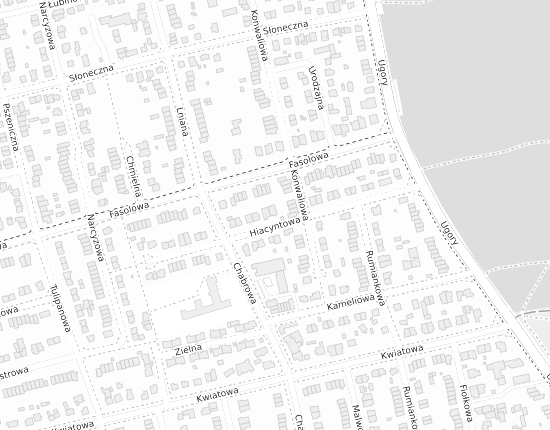 Mapa z adresem organizacji