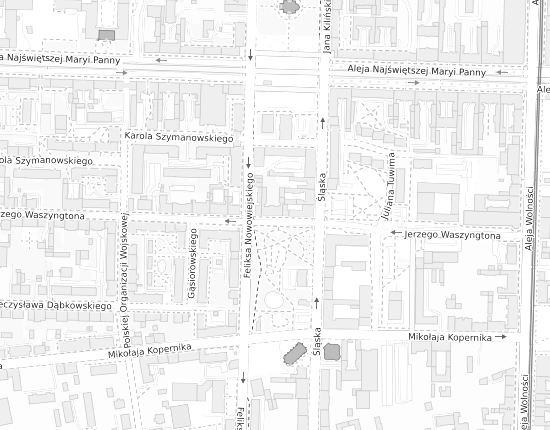 Mapa z adresem organizacji