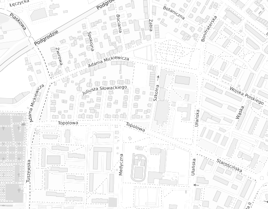 Mapa z adresem organizacji