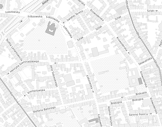 Mapa z adresem organizacji