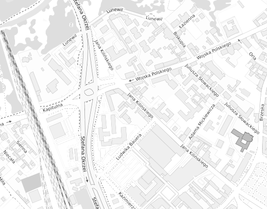 Mapa z adresem organizacji