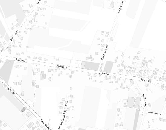 Mapa z adresem organizacji