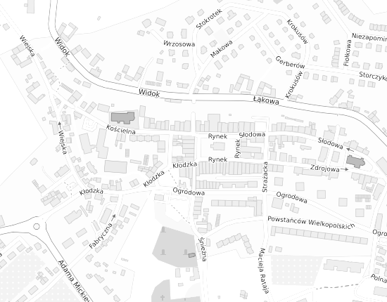 Mapa z adresem organizacji