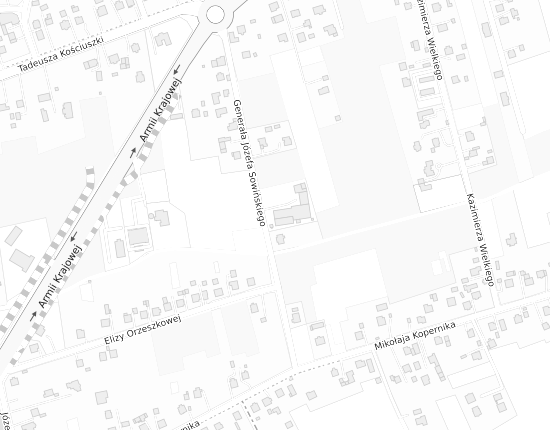 Mapa z adresem organizacji