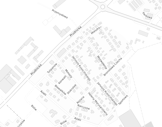 Mapa z adresem organizacji