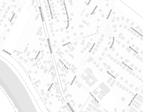 Mapa z adresem organizacji