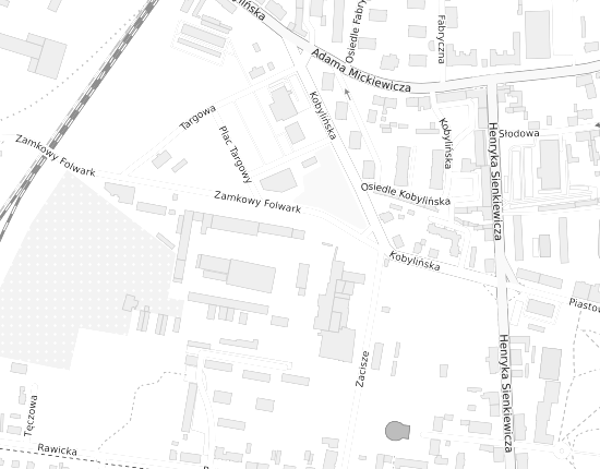Mapa z adresem organizacji