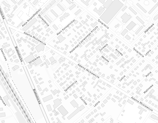 Mapa z adresem organizacji