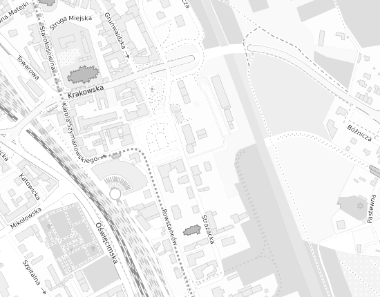 Mapa z adresem organizacji