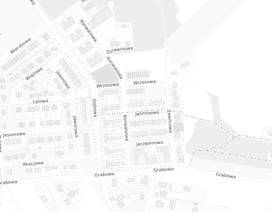 Mapa z adresem organizacji