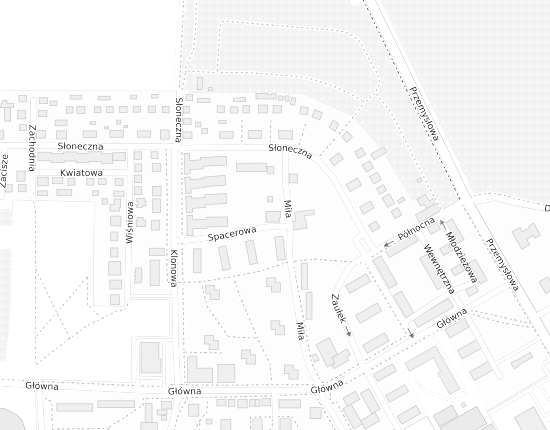 Mapa z adresem organizacji