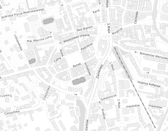 Mapa z adresem organizacji