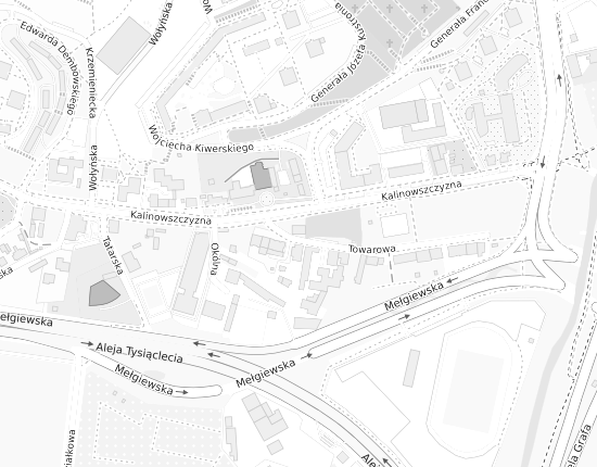 Mapa z adresem organizacji