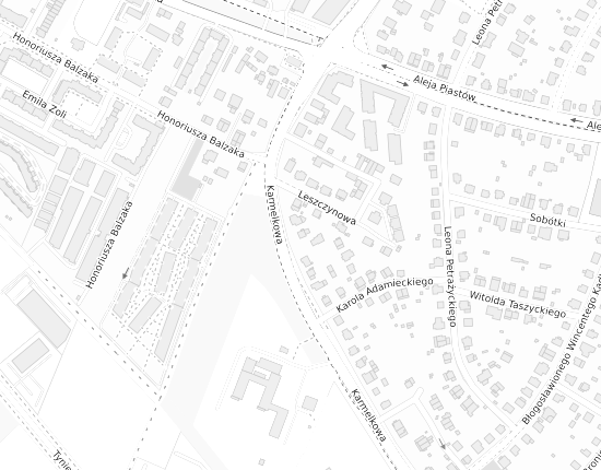 Mapa z adresem organizacji