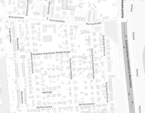 Mapa z adresem organizacji