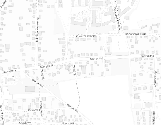 Mapa z adresem organizacji