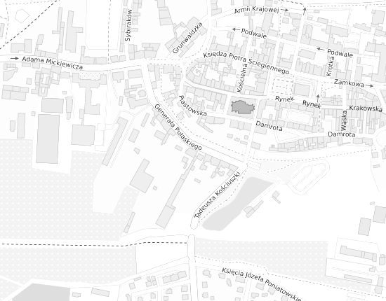 Mapa z adresem organizacji