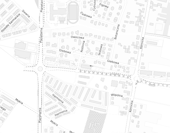 Mapa z adresem organizacji