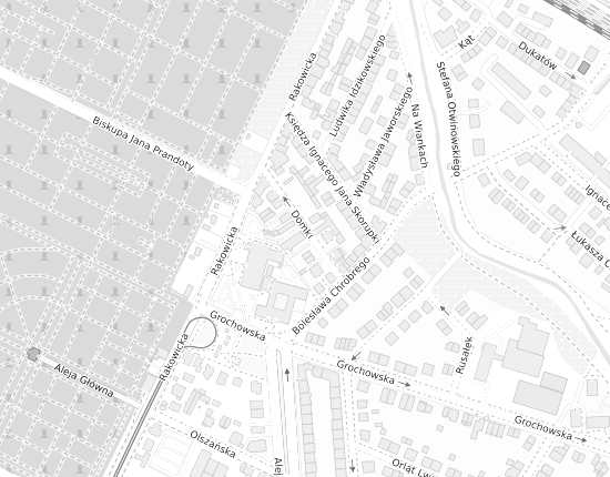 Mapa z adresem organizacji