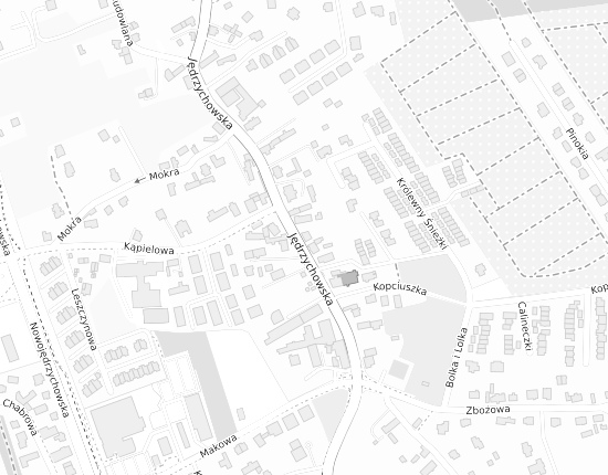 Mapa z adresem organizacji