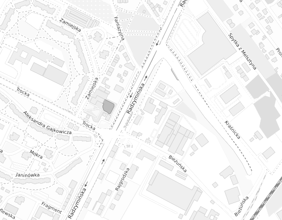 Mapa z adresem organizacji