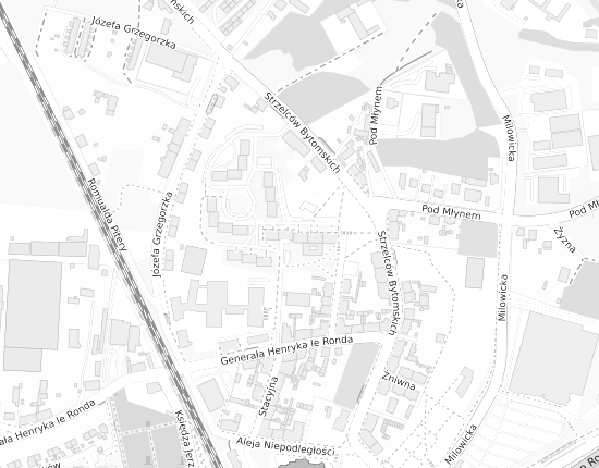 Mapa z adresem organizacji