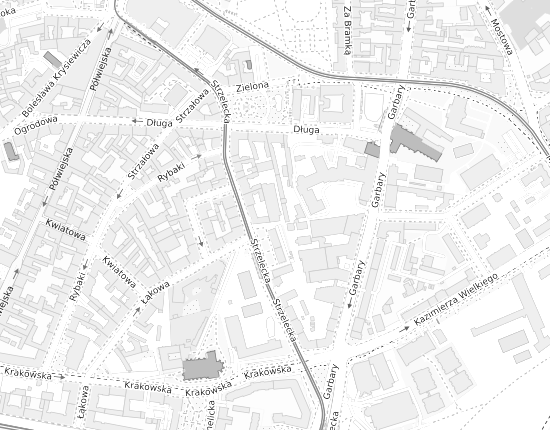 Mapa z adresem organizacji