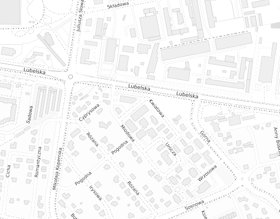 Mapa z adresem organizacji